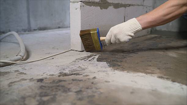 SJ Waterproofing Pros Waterproofing coverage map for Lacarne, OH and surrounding area